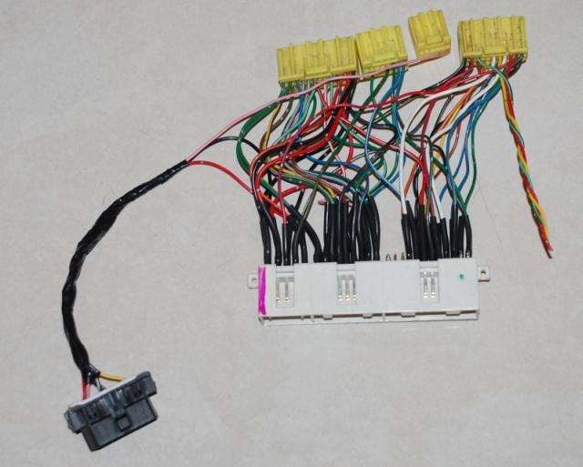 Evo Ecu